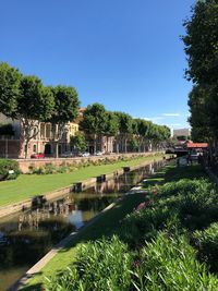 Trees and plants by lake against sky
