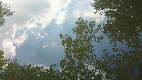 Low angle view of trees against cloudy sky