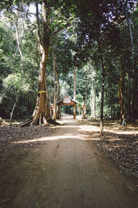 Trees by plants in forest