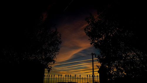 Low angle view of silhouette trees against sky at night