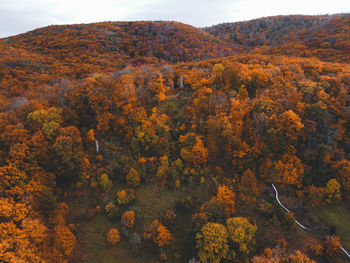 High angle drone shot of some mountains with awesome autumn colors.