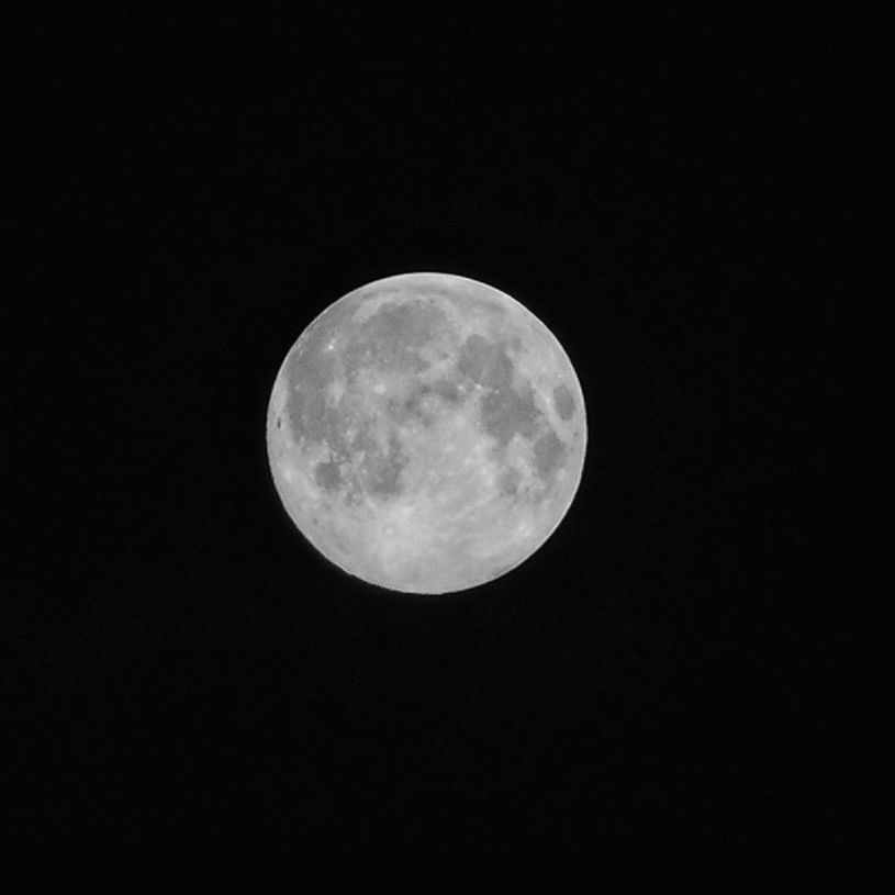 moon, astronomy, full moon, planetary moon, night, moon surface, circle, beauty in nature, low angle view, discovery, sphere, tranquility, space exploration, tranquil scene, scenics, nature, copy space, sky, majestic, dark