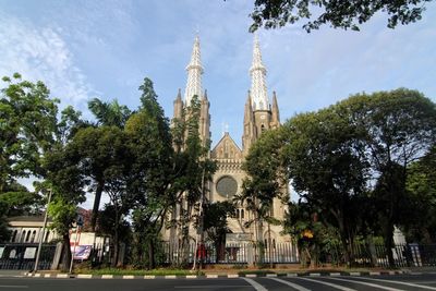 View of trees and buildings against sky