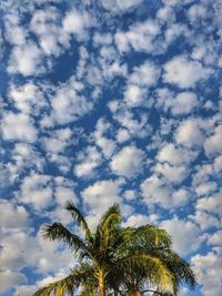 Low angle view of palm trees against sky