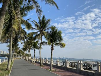 Palm trees on road by sea against sky