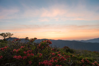 Scenic view of mountains against sky during sunset