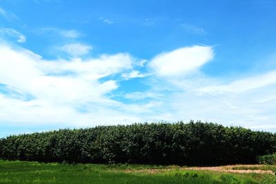 Scenic view of green landscape against cloudy sky