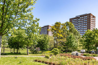 Trees and plants growing on field against buildings