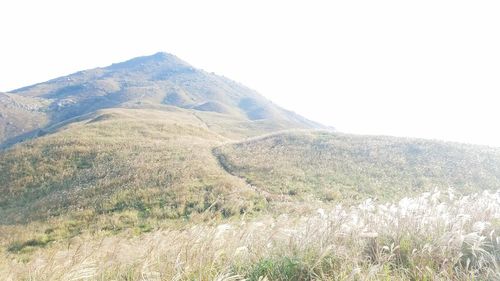 Scenic view of land against clear sky