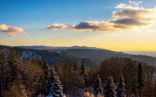 Scenic view of landscape against sky during winter