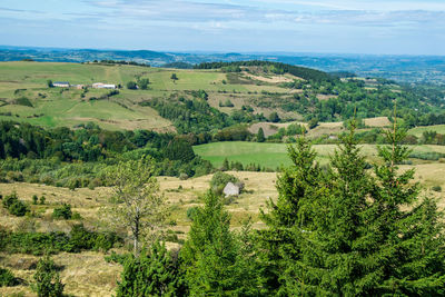 High angle view of trees on field against sky