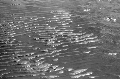 High angle view of raindrops on water