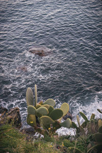 High angle view of rocks by sea