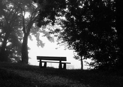 Empty bench in park