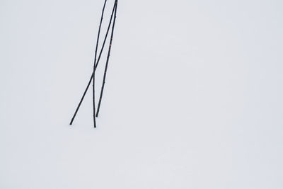 High angle view of barbed wire against white background