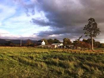 Houses on field against sky