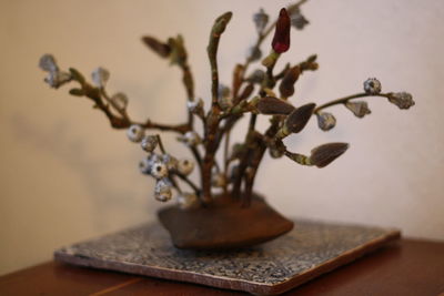 Close-up of flower vase on table against wall