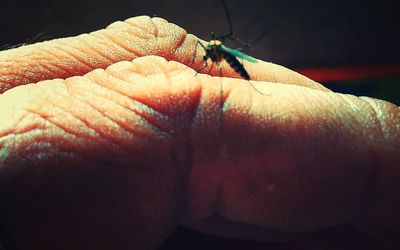 Close-up of cropped hand