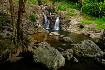 Scenic view of waterfall in forest