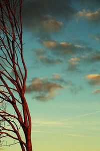 Low angle view of bare tree against cloudy sky