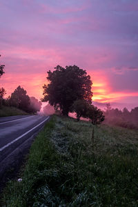 Road amidst trees on field against sky during sunset