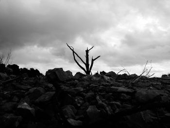 Low angle view of bare tree and rocks against cloudy sky