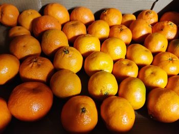 Full frame shot of oranges