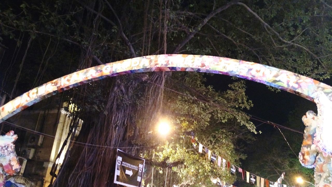 LOW ANGLE VIEW OF TREES AT NIGHT