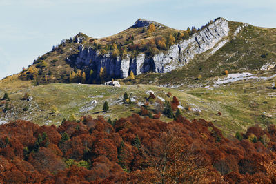 Italian sudtirol malga hiking trail in autumn foliage, trentino, italy