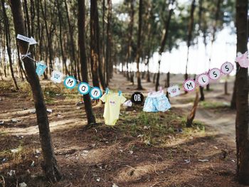 Clothes and text hanging on clothesline against trees