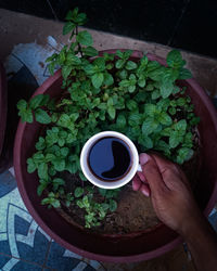 High angle view of hand holding coffee cup