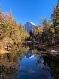 Half dome reflections
