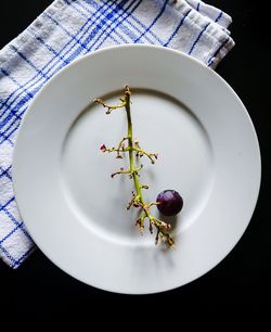 High angle view of berries in plate on table