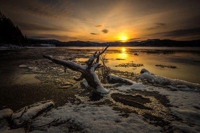 Scenic view of frozen beach during sunset