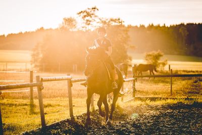 Woman horseback riding in ranch