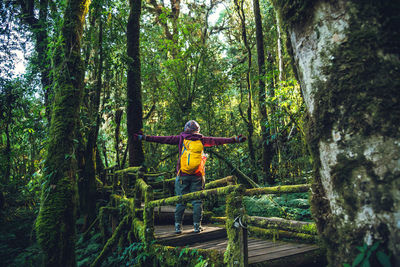 Rear view of man standing by trees in forest