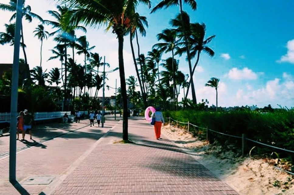 tree, lifestyles, leisure activity, men, walking, palm tree, full length, sky, person, footpath, sunlight, large group of people, shadow, growth, day, rear view, beach, nature, outdoors