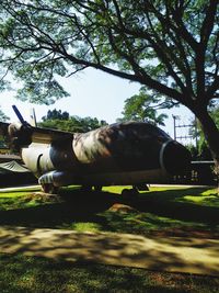 Airplane on field against sky