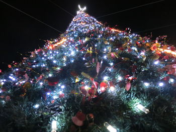 Low angle view of illuminated christmas tree against sky at night