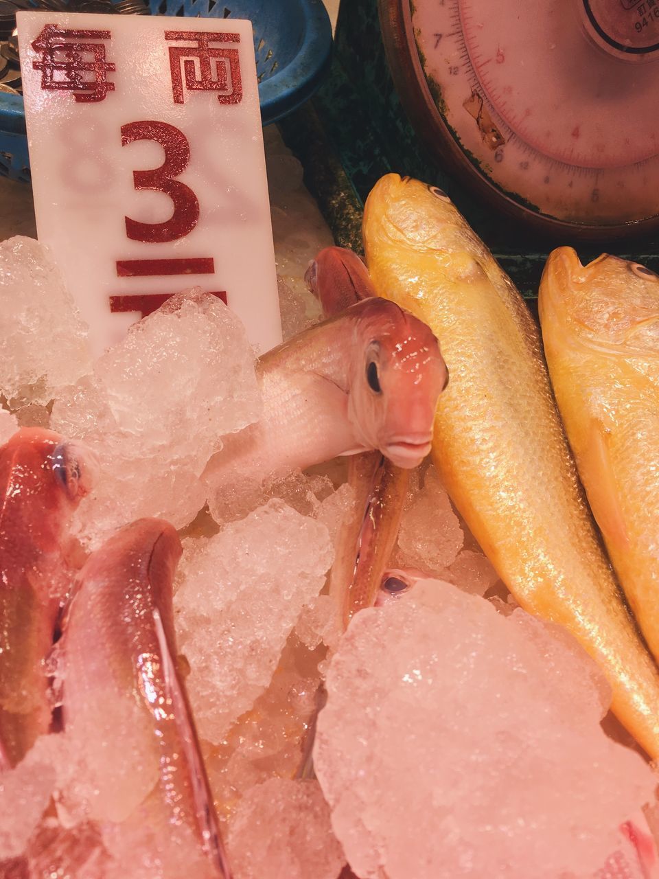 CLOSE-UP OF FISH FOR SALE AT MARKET