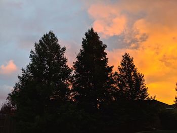 Low angle view of silhouette trees against sky during sunset