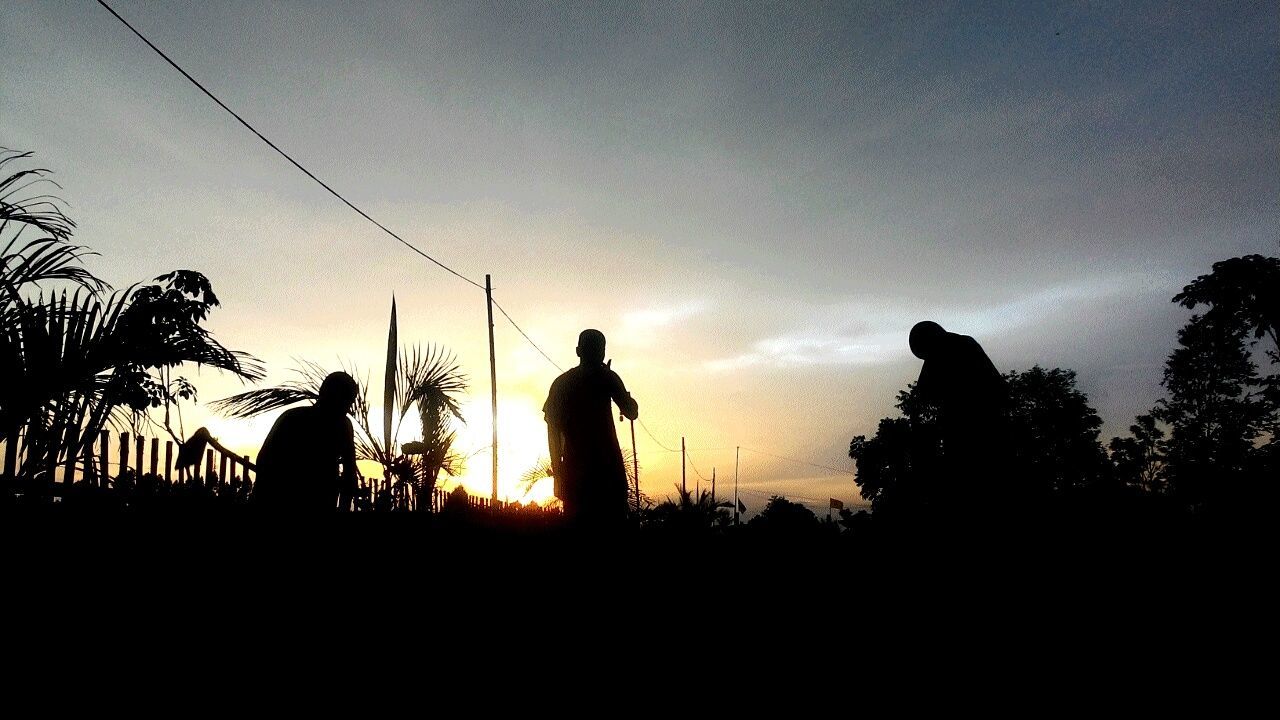 silhouette, sunset, sky, tree, tranquility, copy space, scenics, tranquil scene, beauty in nature, outline, nature, men, landscape, leisure activity, dusk, orange color, idyllic, clear sky, outdoors