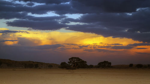 Scenic view of field against sky during sunset