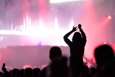 Crowd at music concert