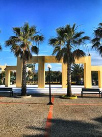 Palm trees against clear sky