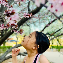 Portrait of girl with pink flowers against blurred background