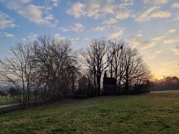 Bare trees on field against sky during sunset