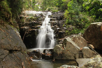 Scenic view of waterfall in forest