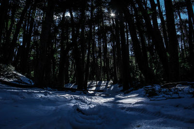 Scenic view of snow covered landscape