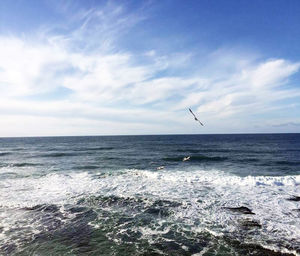View of birds flying over sea against sky
